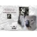 ZOO GREETING CARD Koala